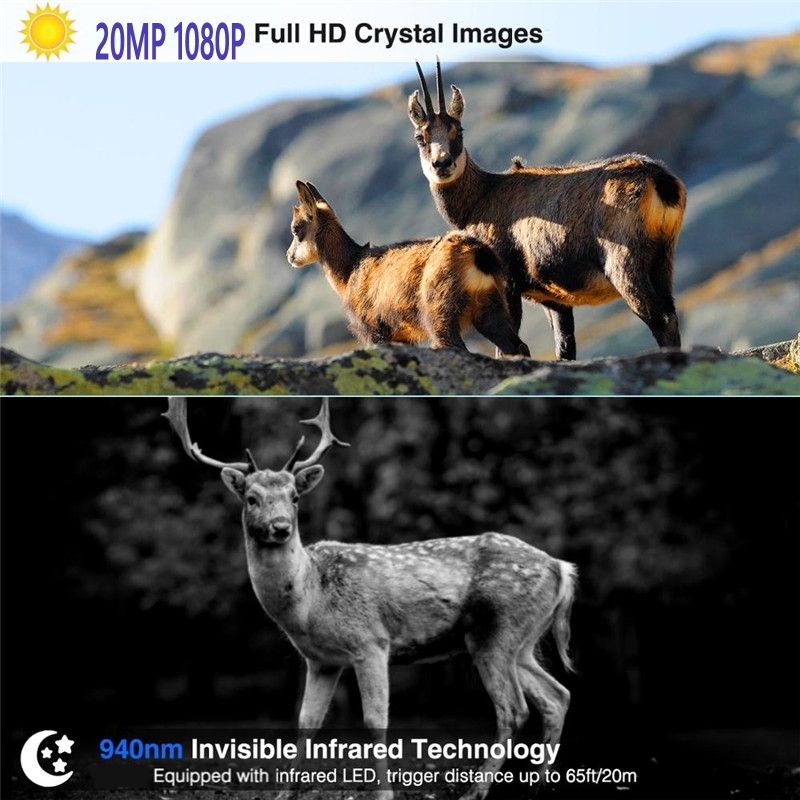 Cámara de Trail HC801M 20MP Visión Nocturna 2G MMS SMS Cámaras de Caza con 42 LEDs para Fotografía de Fauna