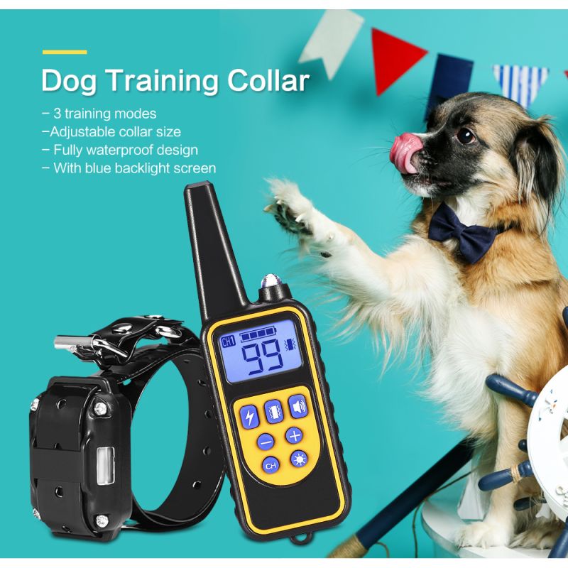 Collar de Entrenamiento para Perros 800m Impermeable Recargable con Control Remoto y Pantalla LCD Ajustable
