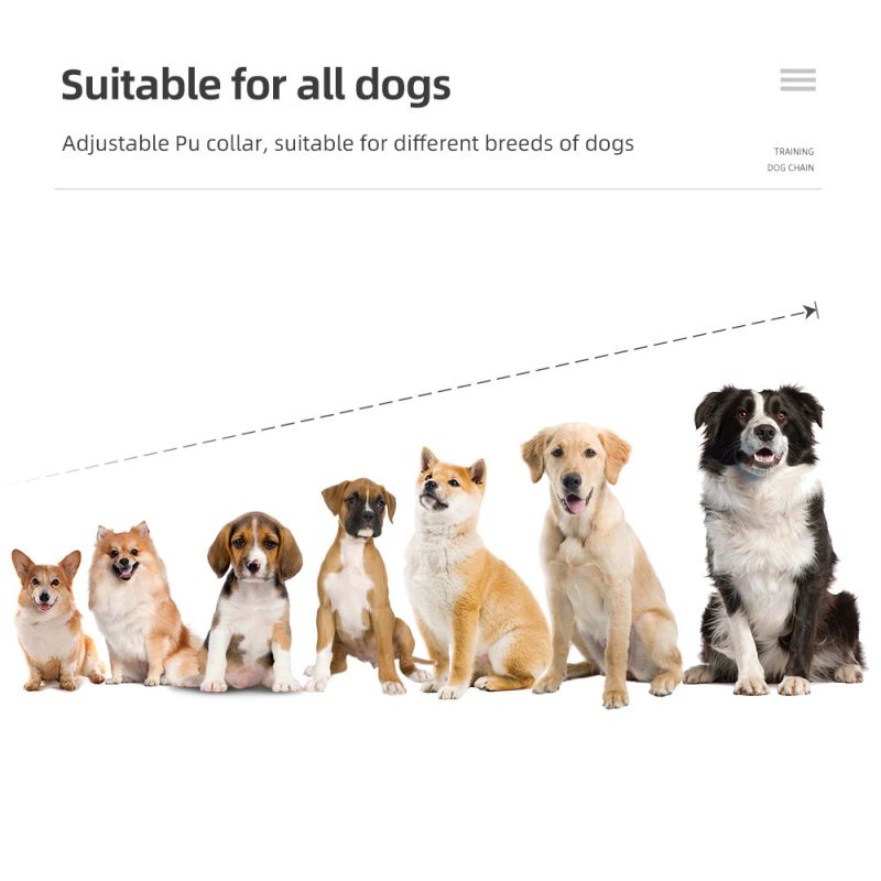 Collar impermeable para perros 800m IP7 dispositivo de adiestramiento con vibración choque sonido niveles ajustables