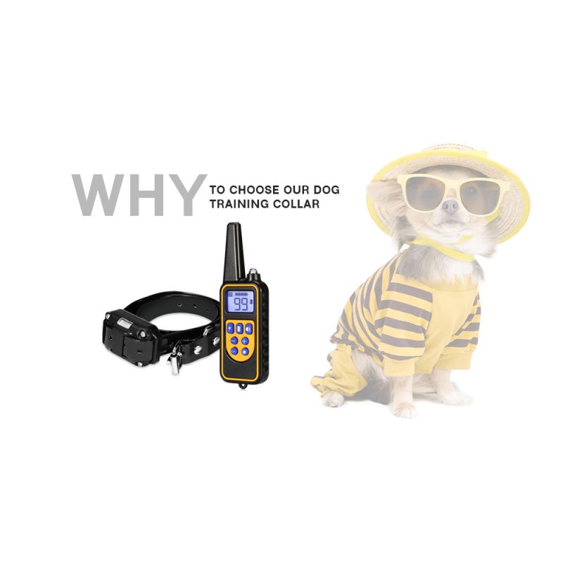 Collar de Entrenamiento para Perros 800m Impermeable Recargable con Control Remoto y Pantalla LCD Ajustable