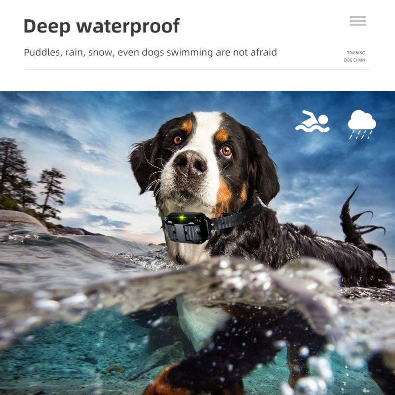 Collar impermeable para perros 800m IP7 dispositivo de adiestramiento con vibración choque sonido niveles ajustables