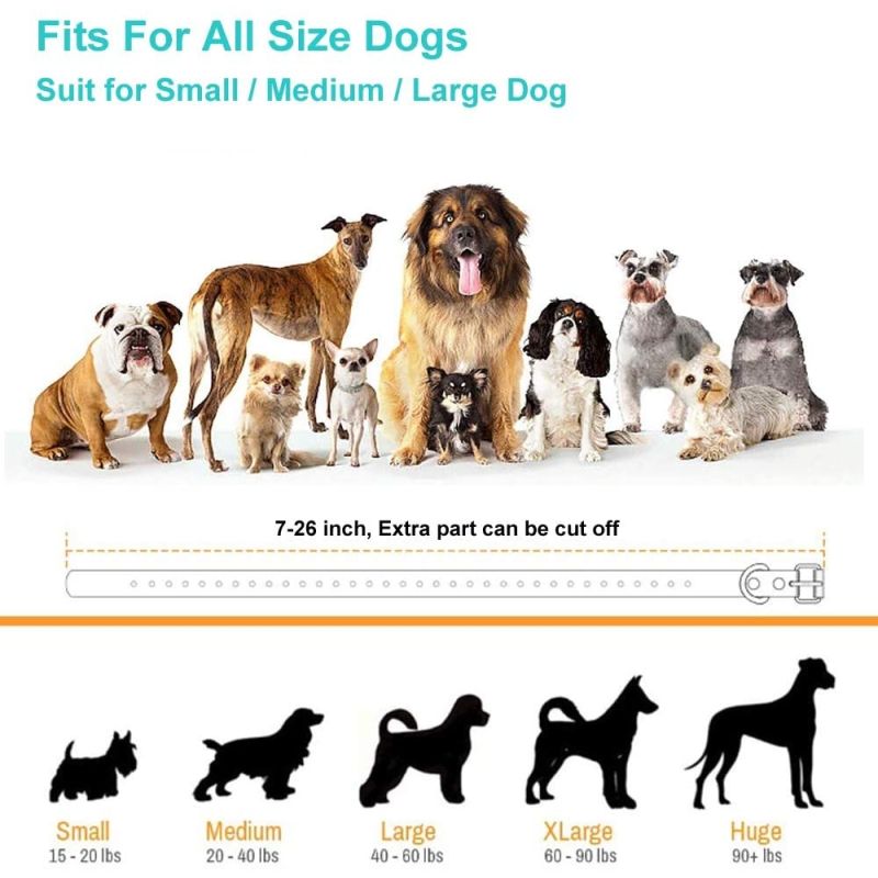 Collar de Entrenamiento Eléctrico para Perros Inalámbrico y Recargable con 3 Modos para Mascotas Pequeñas Grandes