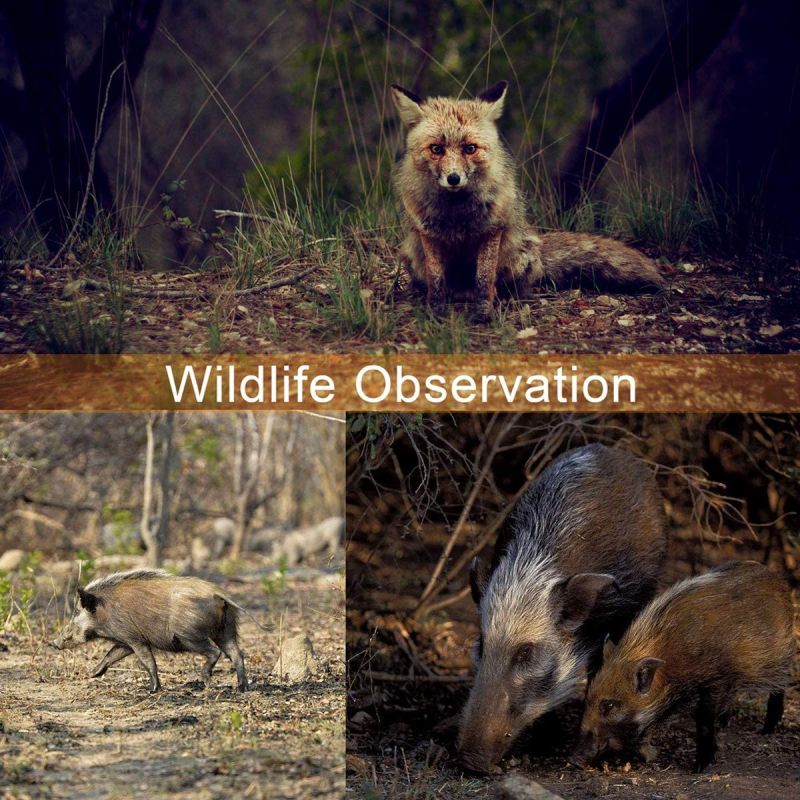 Linterna LED IR UltraFire 940nm luz infrarroja invisible para caza furtiva exploración nocturna visión salvaje