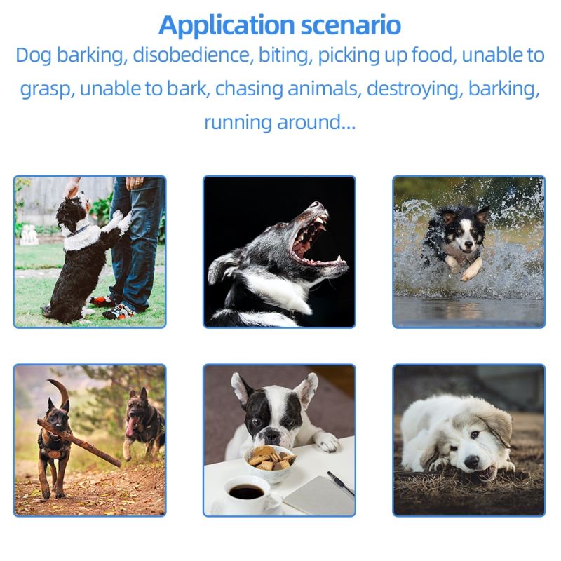 Collar de Entrenamiento para Perros 2021 con Control Remoto 500m y Pantalla LCD Resistente al Agua Recargable