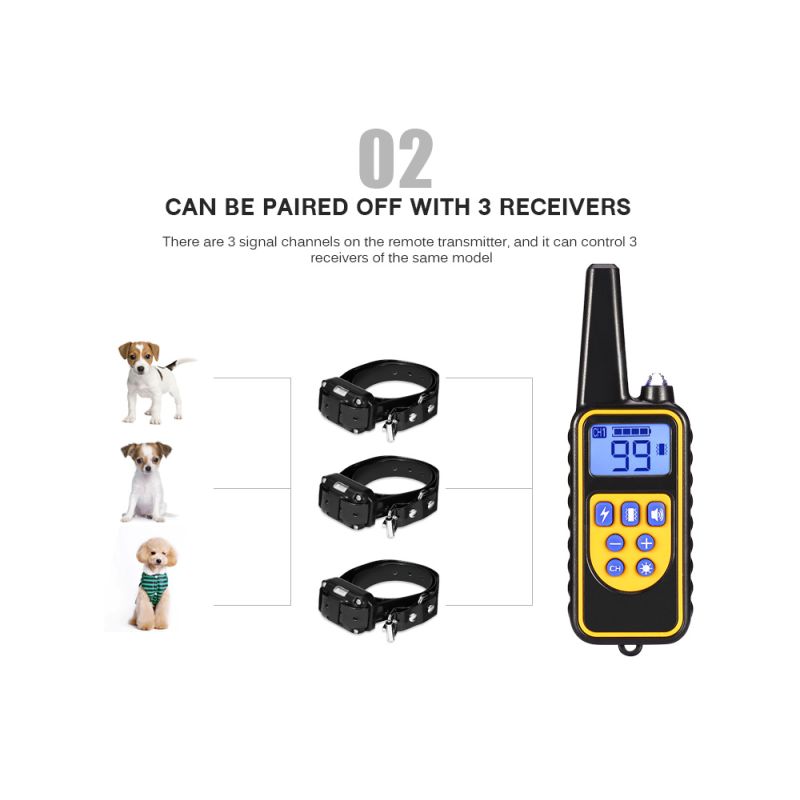 Collar de Entrenamiento para Perros 800m Impermeable Recargable con Control Remoto y Pantalla LCD Ajustable