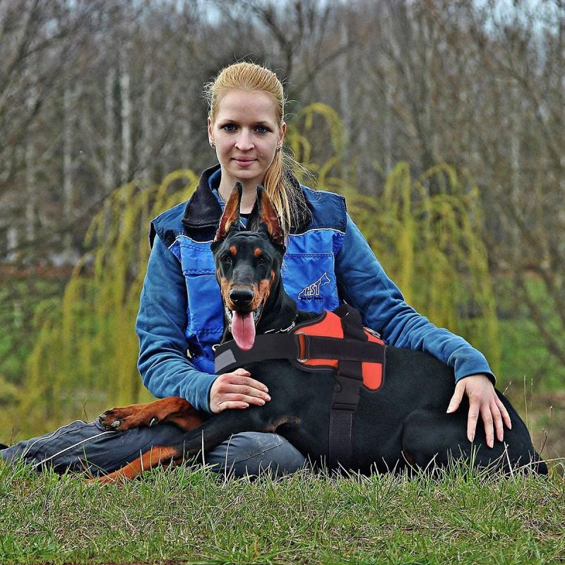 Arnés para perros medianos chaleco reflectante ajustable transpirable con mango paseos cómodos sin tirón