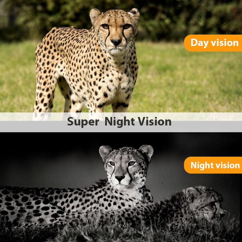 Cámara de Trail HC801M 20MP Visión Nocturna 2G MMS SMS Cámaras de Caza con 42 LEDs para Fotografía de Fauna