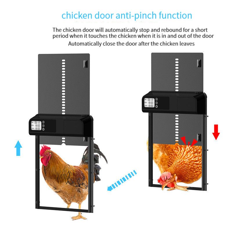 Puerta segura para pollos con temporizador automático Motor inteligente Instalación fácil y resistente climate