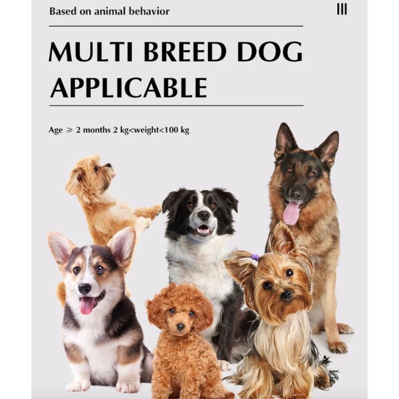 Sistema de cerca inalámbrica y collar de entrenamiento remoto para perros con radios ajustables y IP65