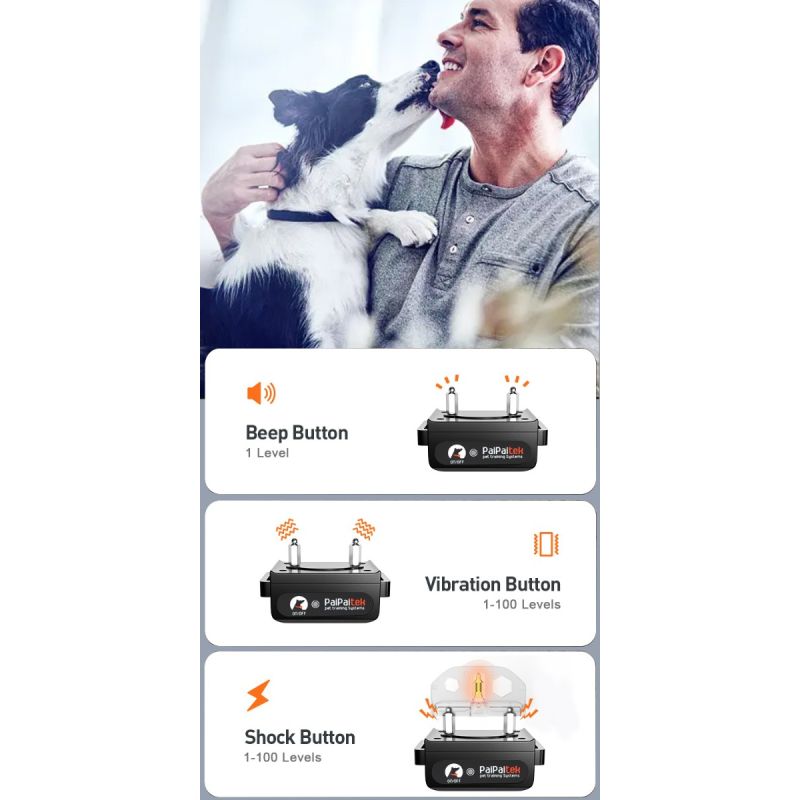 Collar de entrenamiento para perros con control remoto y modos ajustables PD 529-1-TIO recargable y seguro