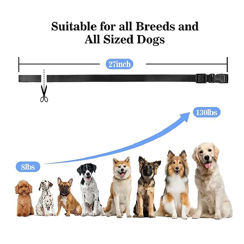 Collar de entrenamiento para perros con control remoto y modos ajustables PD 529-1-TIO recargable y seguro