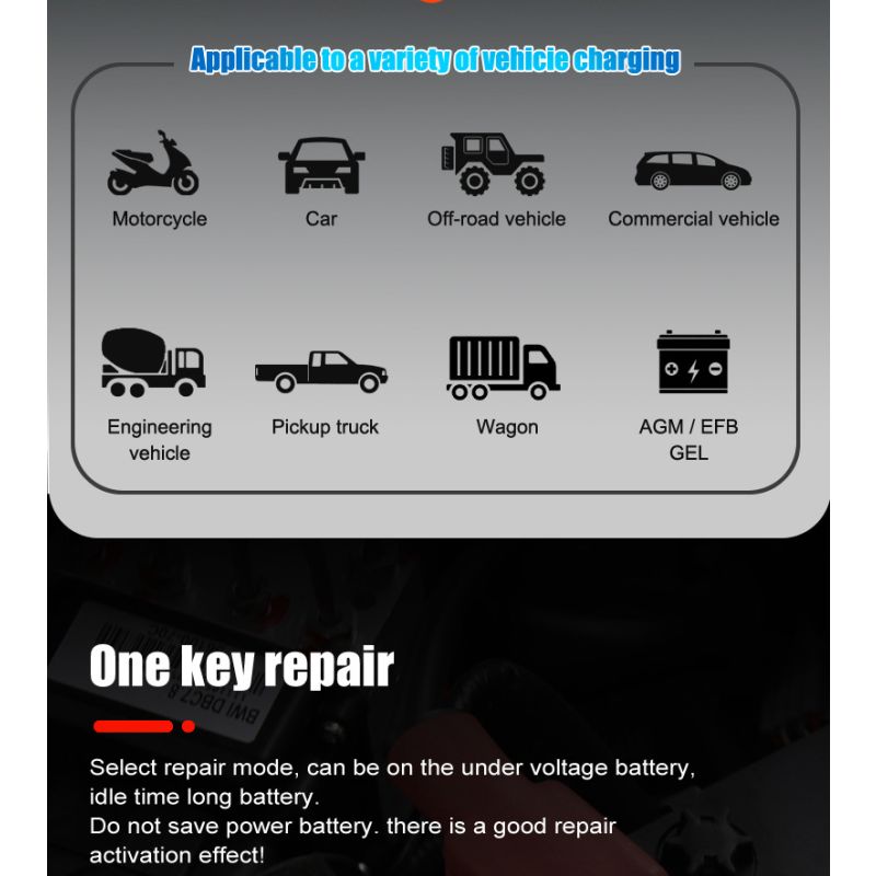 Cargador de batería FOXSUR 20A portátil para coche camión 12V 24V AGM LiFePO4 con carga en 7 etapas versátil