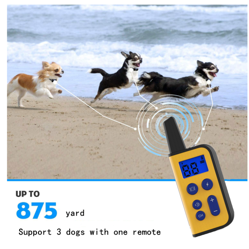 Collar eléctrico para perros 2020 impermeable con control remoto 1000m y niveles de estimulación ajustables