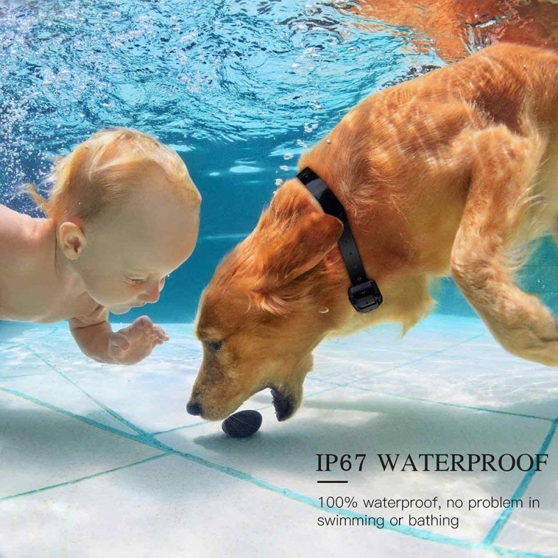 Collar impermeable recargable para perros con control remoto pantalla LCD niveles ajustables entrenamiento seguro