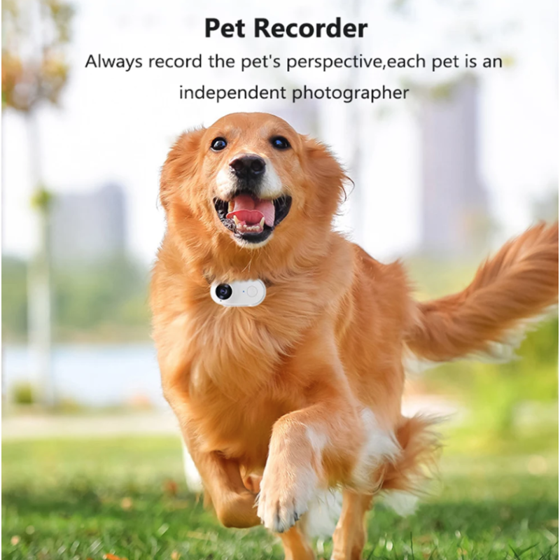 Mini Cámara WiFi HD 1080P Portátil para Deportes|Moto|Mascotas|Grabadora de Video Gran Angular 120°