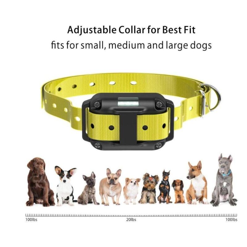 Collar de Entrenamiento Eléctrico 800m Recargable Impermeable con Pantalla LCD y Modos Ajustables para Perros