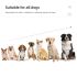 Collar impermeable para perros 800m IP7 dispositivo de adiestramiento con vibración choque sonido niveles ajustables