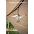 Luz Camping Klarus CL2 750 Lúmenes Plegable Bombillas 90° 7 Modos Luz Ambiental Ideal Cuidado Ocular