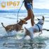 Collar Antiladridos Inteligente Control de Ladridos para Perros Algoritmo de Corteza Avanzado Collar Recargable