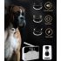 Sistema de cerca inalámbrica y collar de entrenamiento remoto para perros con radios ajustables y IP65