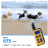 Collar eléctrico para perros 2020 impermeable con control remoto 1000m y niveles de estimulación ajustables