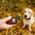 Collar impermeable recargable con beep y vibración niveles ajustables herramienta de entrenamiento para perros