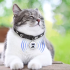 Collar para perros Airtag Rastreador GPS para perros Ubicación en tiempo real Seguridad para amigos peludos