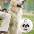 Collar para perros Airtag Rastreador GPS para perros Ubicación en tiempo real Seguridad para amigos peludos