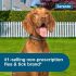 Collar de prevención y tratamiento contra pulgas y garrapatas recomendado por veterinarios para perros grandes Seresto 8 meses de protección