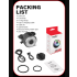 Luz trasera LED TOWILD TL03Pro visibilidad ciclismo con sensor freno inteligente y destello siete colores