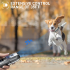 Repelente Ultrasónico de Perros Dispositivo Antiladridos con Linterna LED para Entrenamiento Humanitario Portátil
