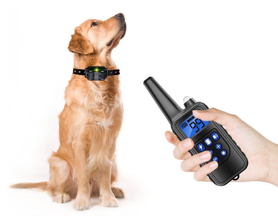 Collar impermeable para perros 800m IP7 dispositivo de adiestramiento con vibración choque sonido niveles ajustables