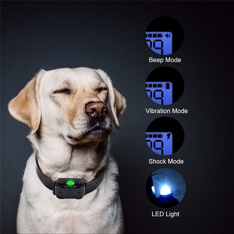 Collar eléctrico de entrenamiento para perros de 800 m, impermeable, recargable, con niveles de descarga ajustables y pantalla LCD
