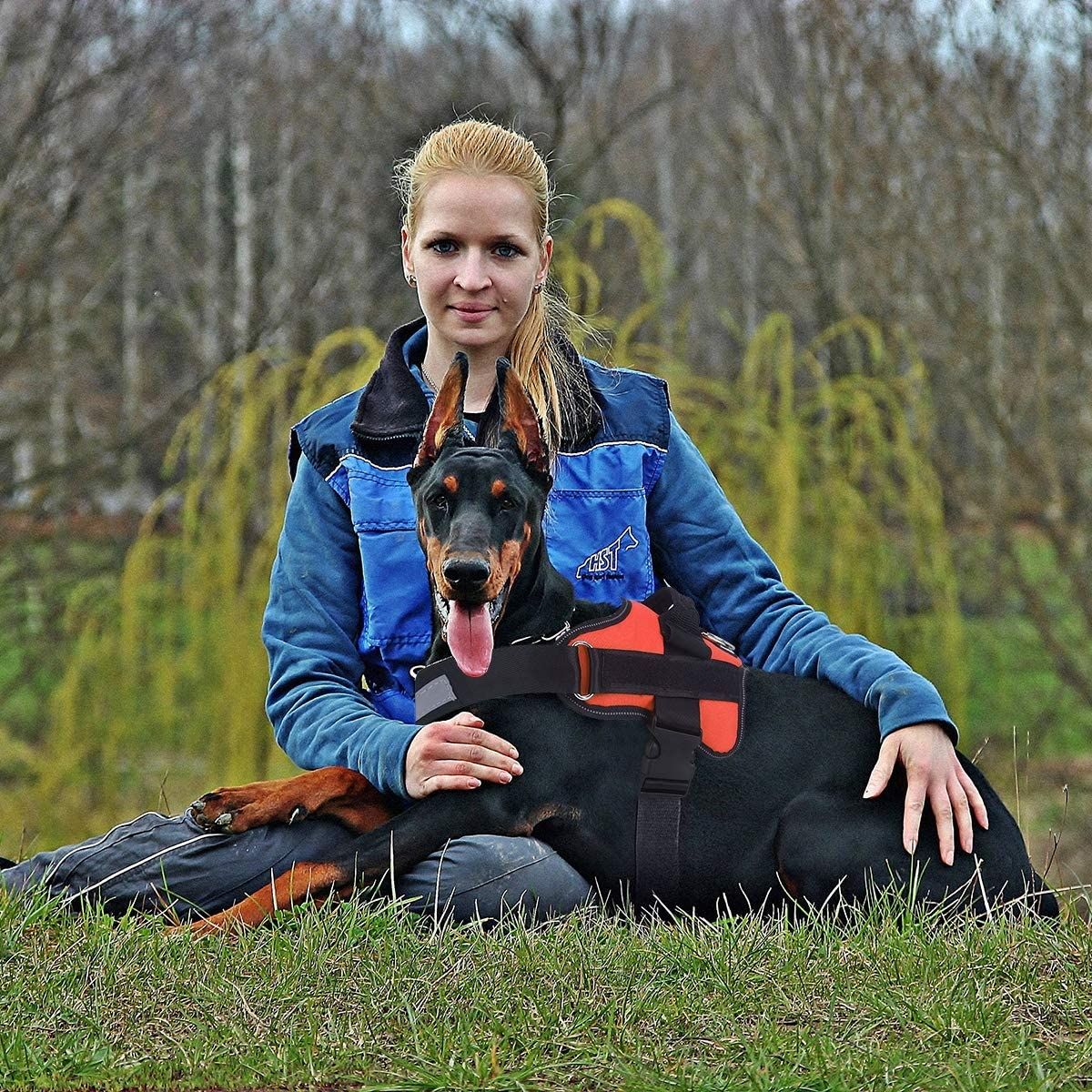 Chaleco reflectante antirrabo para perros con asa y arnés ajustable para razas medianas, equipo cómodo para pasear