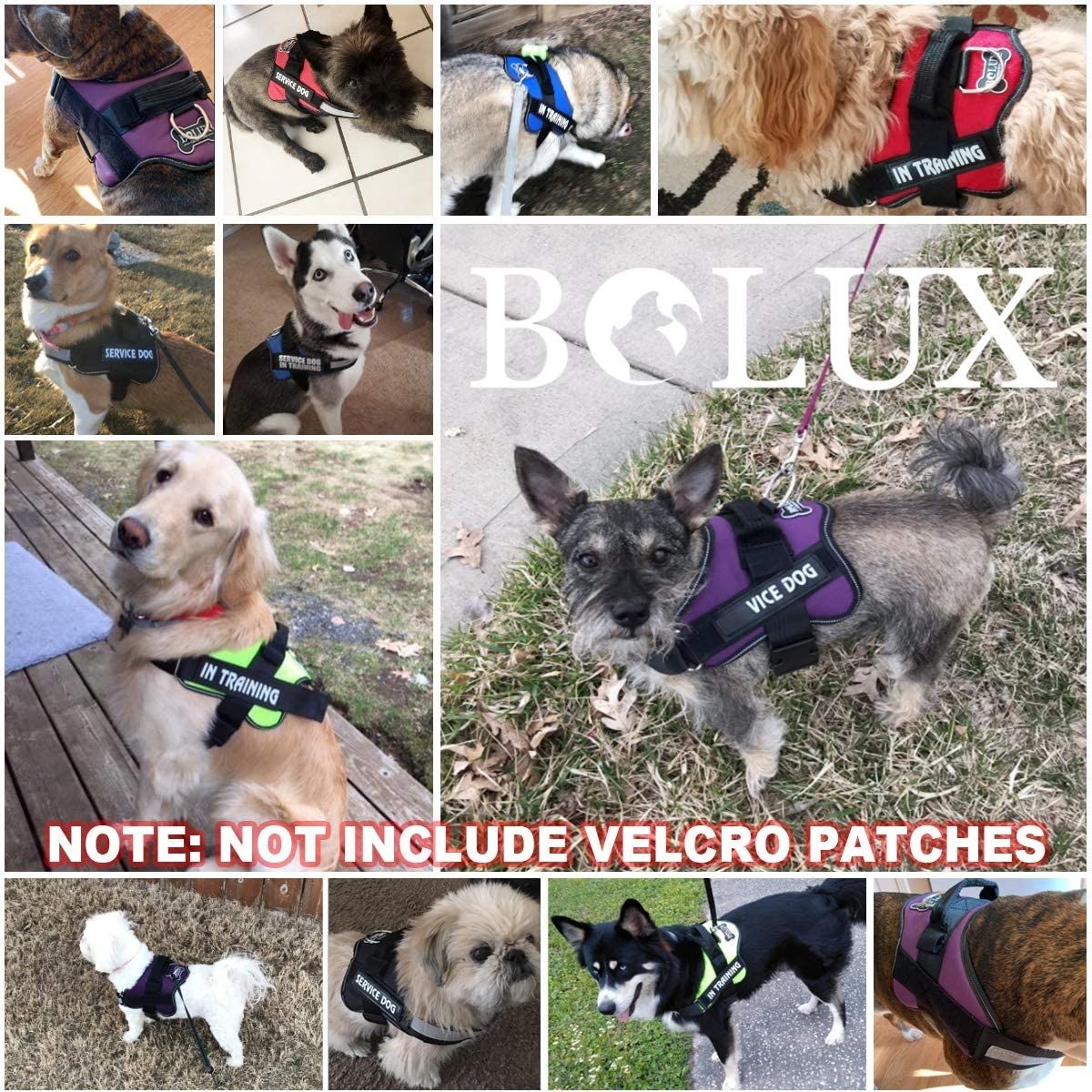 Chaleco reflectante antirrabo para perros con asa y arnés ajustable para razas medianas, equipo cómodo para pasear