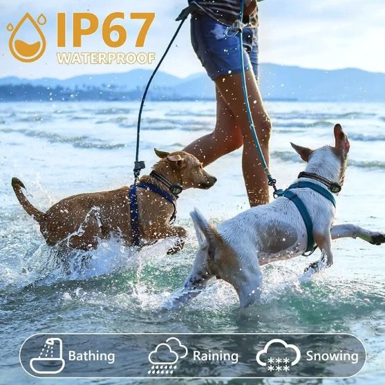 Collar Antiladridos Inteligente Control de Ladridos para Perros Algoritmo de Corteza Avanzado Collar Recargable