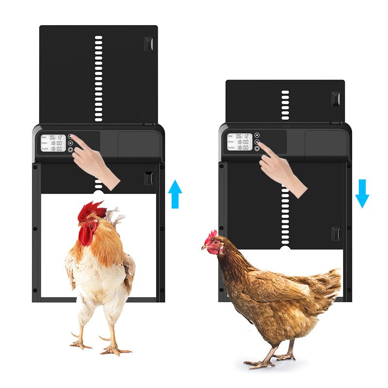 Temporizador Automático Motor de Puerta de Gallinero Instalación Fácil Resistente a la Intemperie Gestión Avícola Inteligente