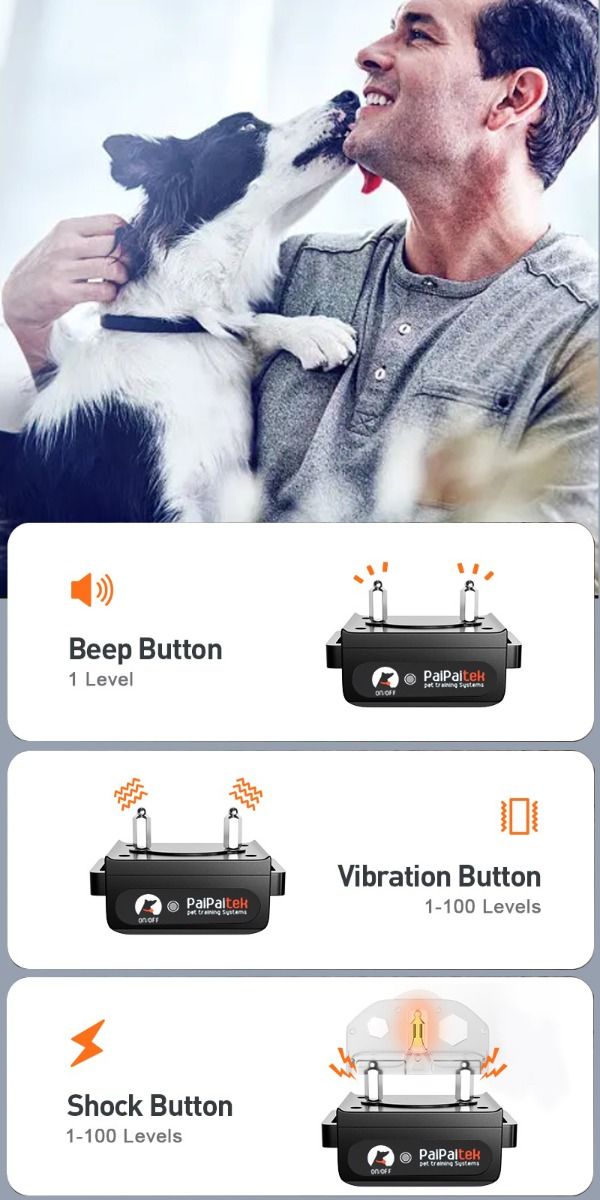 Collar de entrenamiento para perros con control remoto y modos ajustables PD 529-1-TIO recargable y seguro