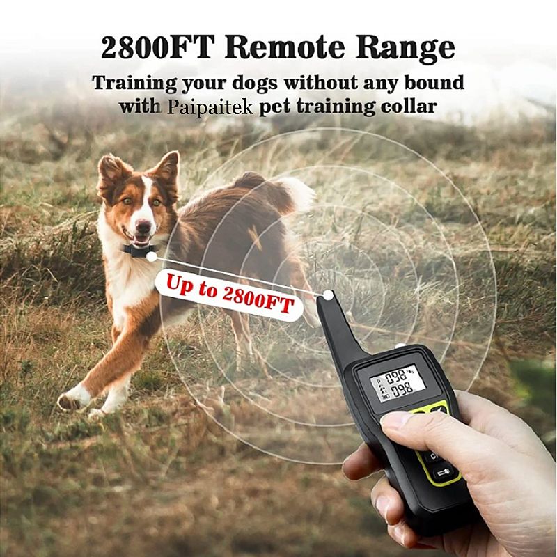 Collar de entrenamiento para perros con control remoto y modos ajustables PD 529-1-TIO recargable y seguro