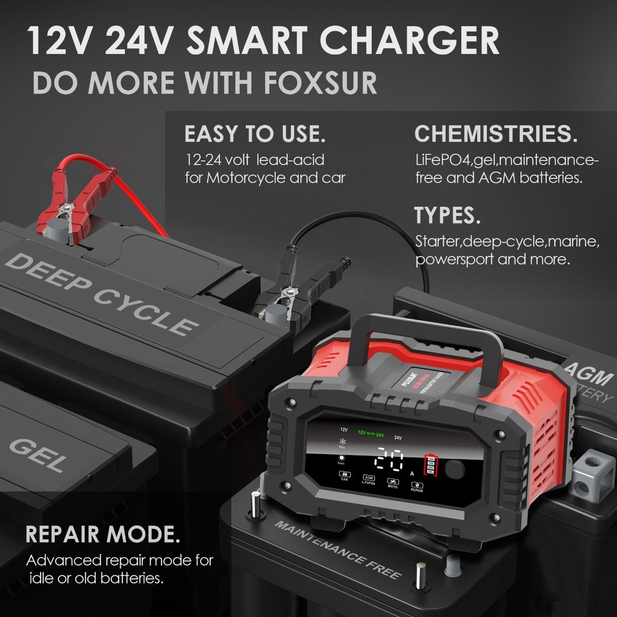 FOXSUR 20A Cargador Portátil de Batería de Coche 12V 24V para Moto, Camión, Baterías AGM, LiFePO4, Plomo-Ácido - Mantenimiento