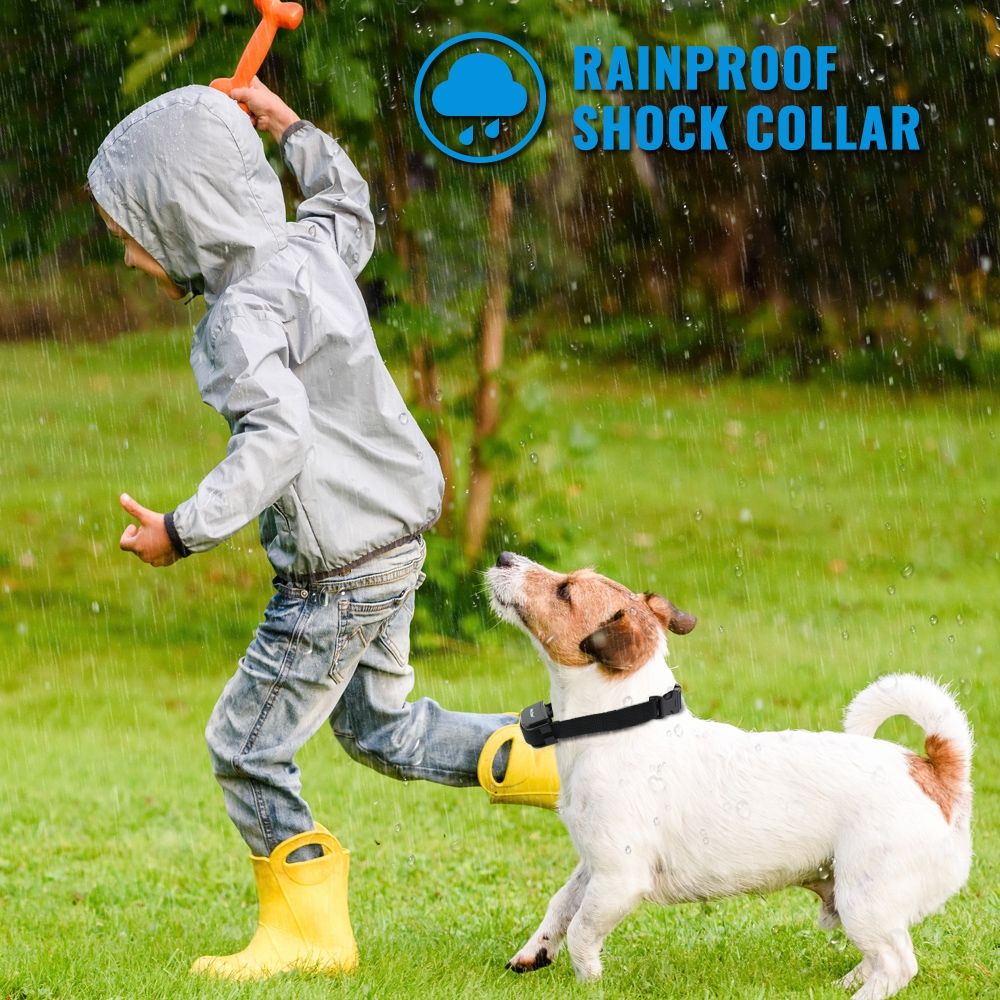 Petrainer 998D Collar de entrenamiento eléctrico remoto para perros, alcance de 300 m, impermeable, recargable, batería de alta capacidad