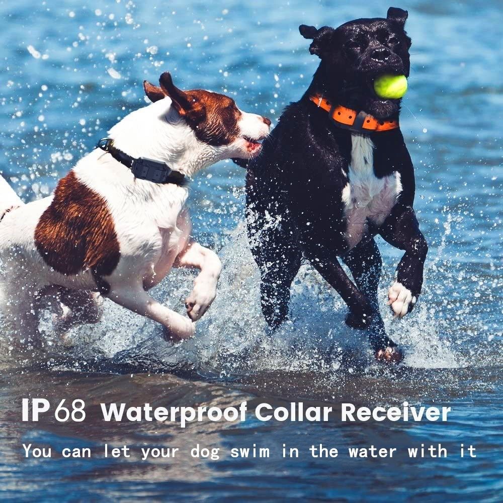 Collar eléctrico para perros impermeable con alcance de 1000 m y niveles de estimulación ajustables para un entrenamiento humano