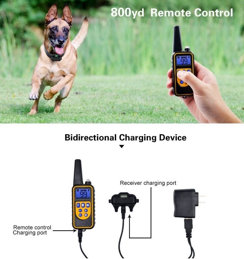 Collar de entrenamiento remoto para perros eléctrico de 800m, impermeable, recargable, niveles ajustables para perros de todos los tamaños