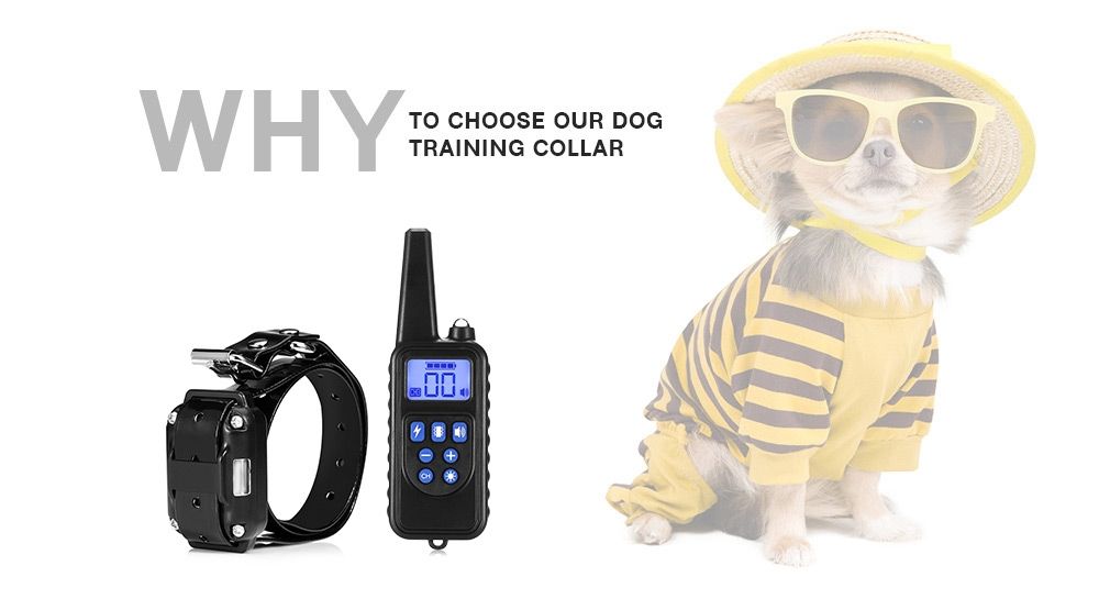 Collar de adiestramiento para perros eléctrico impermeable recargable de 800 m con control remoto para mascotas, pantalla LCD y modos ajustables