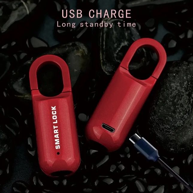Candado de huella digital mini, desbloqueo rápido, acceso sin llave, cerradura duradera con diseño ligero para seguridad de viaje