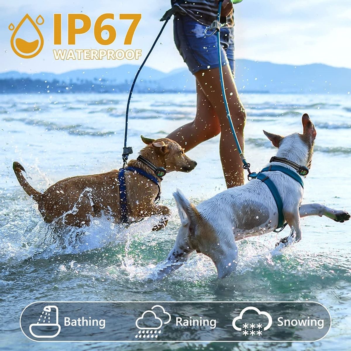 Entrenador con Pantalla a Color y Algoritmo de Detección de Ladridos, Dispositivo de Adiestramiento Canino Humano para Resultados Efectivos