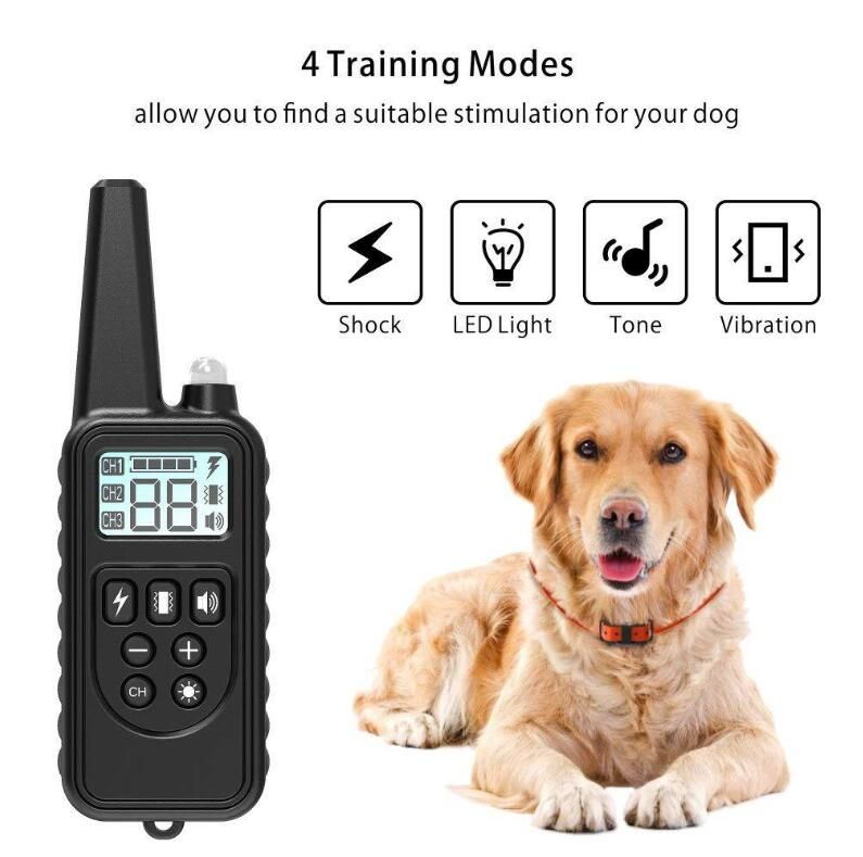 Collar de adiestramiento para perros eléctrico impermeable recargable de 800 m con control remoto para mascotas, pantalla LCD y modos ajustables