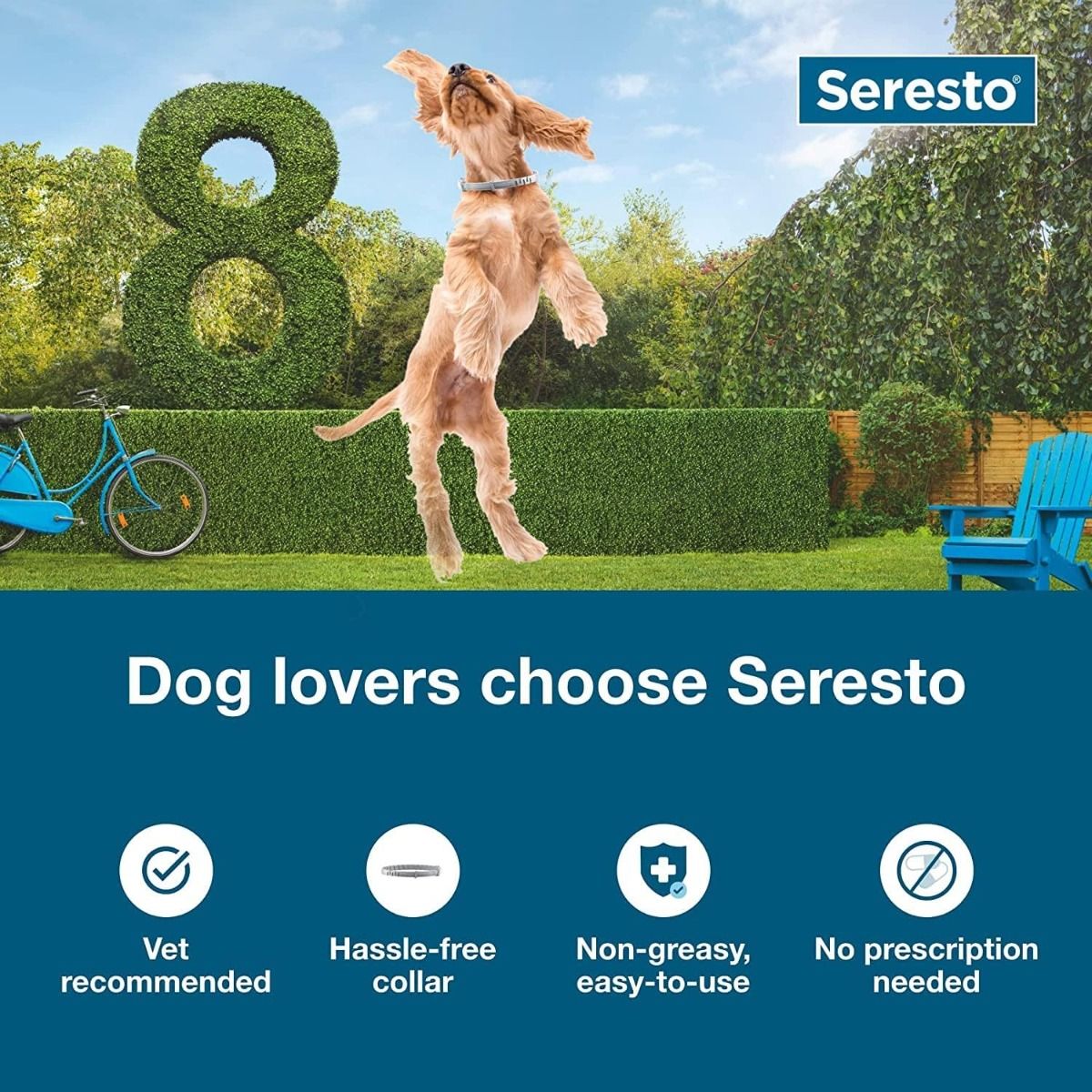 Seresto Perros Grandes | Collar Antipulgas y Garrapatas | 8 Meses Protección | Veterinarios Recomiendan